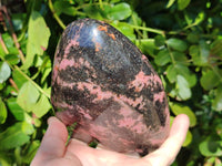 Polished Rhodonite Standing Free Form x 1 From Ambindavato, Madagascar - Toprock Gemstones and Minerals