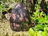 Polished Rhodonite Standing Free Form x 1 From Ambindavato, Madagascar - Toprock Gemstones and Minerals
