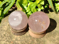 Polished Rose Quartz Spheres x 4 From Madagascar - Toprock Gemstones and Minerals