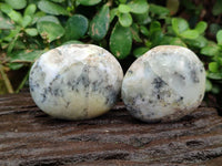 Polished Dendritic Opal Palm Stones x 12 From Madagascar - Toprock Gemstones and Minerals