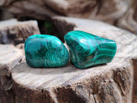 Polished Flower Banded Malachite Free Forms x 35 From Congo - Toprock Gemstones and Minerals
