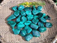 Polished Flower Banded Malachite Free Forms x 35 From Congo - Toprock Gemstones and Minerals