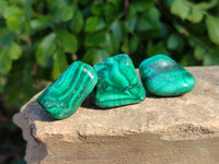 Polished Flower Banded Malachite Free Forms x 35 From Congo - Toprock Gemstones and Minerals