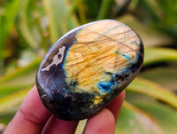 Polished Labradorite Palm Stones x 35 From Tulear, Madagascar - Toprock Gemstones and Minerals