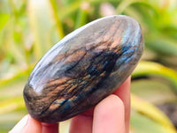 Polished Labradorite Palm Stones x 35 From Tulear, Madagascar - Toprock Gemstones and Minerals