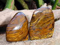 Polished Tigers Eye Standing Free Forms x 3 From South Africa - Toprock Gemstones and Minerals