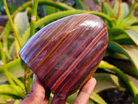 Polished Banded Tiger Iron Standing Free Forms x 2 From South Africa - Toprock Gemstones and Minerals