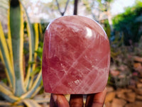 Polished Rose Quartz Standing Free Forms x 2 From Madagascar - Toprock Gemstones and Minerals