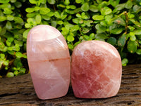 Polished Rose Quartz Standing Free Forms x 2 From Madagascar - Toprock Gemstones and Minerals