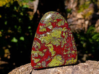 Polished Bastite Dragon Bloodstone Standing Free Forms x 2 From South Africa - Toprock Gemstones and Minerals