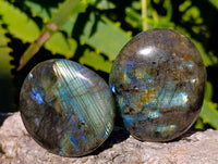 Polished Labradorite Palm Stones x 20 From Tulear, Madagascar - Toprock Gemstones and Minerals