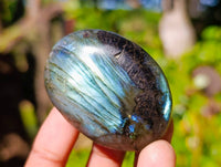Polished Labradorite Palm Stones x 20 From Tulear, Madagascar - Toprock Gemstones and Minerals