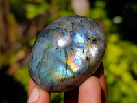 Polished Labradorite Palm Stones x 20 From Tulear, Madagascar - Toprock Gemstones and Minerals