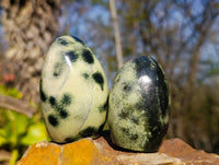 Polished Leopard Stone Standing Free Forms x 6 From Zimbabwe - Toprock Gemstones and Minerals