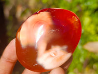 Polished Carnelian Agate Palm Stones x 12 From Madagascar - Toprock Gemstones and Minerals