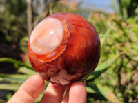 Polished Carnelian Agate Spheres x 2 From Madagascar - Toprock Gemstones and Minerals