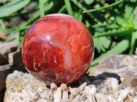 Polished Carnelian Agate Spheres x 2 From Madagascar - Toprock Gemstones and Minerals