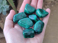 Polished Flower Banded Malachite Free Forms x 35 From Congo - Toprock Gemstones and Minerals