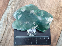 Polished On One Side Emerald Mtorolite x 6 From Mutorashanga, Zimbabwe - Toprock Gemstones and Minerals