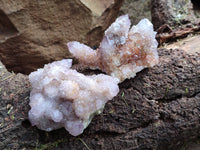 Natural Amethyst Spirit Quartz Clusters x 6 From South Africa - Toprock Gemstones and Minerals