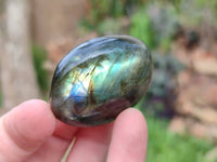 Polished Labradorite Palm Stones x 20 From Tulear, Madagascar - Toprock Gemstones and Minerals