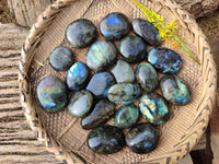 Polished Labradorite Palm Stones x 20 From Tulear, Madagascar - Toprock Gemstones and Minerals