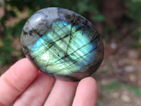 Polished Labradorite Palm Stones x 20 From Tulear, Madagascar - Toprock Gemstones and Minerals