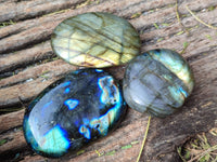 Polished Labradorite Palm Stones x 20 From Tulear, Madagascar - Toprock Gemstones and Minerals