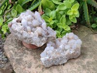 Natural Fairy Spirit Quartz Clusters x 3 From South Africa - Toprock Gemstones and Minerals