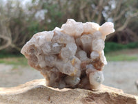 Natural Fairy Spirit Quartz Clusters x 3 From South Africa - Toprock Gemstones and Minerals