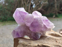Natural Jacaranda Amethyst Clusters x 2 From Zambia - Toprock Gemstones and Minerals