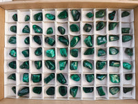 Polished Flower Banded Malachite Free Forms x 70 From Congo - Toprock Gemstones and Minerals