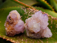 Natural Amethyst Spirit Quartz Crystals x 20 From South Africa - Toprock Gemstones and Minerals