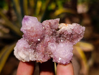 Natural Amethyst Spirit Quartz Crystals x 20 From South Africa - Toprock Gemstones and Minerals