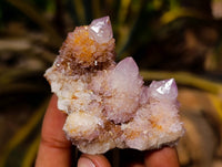 Natural Amethyst Spirit Quartz Crystals x 20 From South Africa - Toprock Gemstones and Minerals