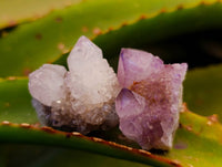 Natural Amethyst Spirit Quartz Crystals x 20 From South Africa - Toprock Gemstones and Minerals