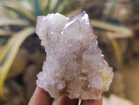 Natural Amethyst Spirit Quartz Crystals x 12 From Boekenhouthoek, South Africa - Toprock Gemstones and Minerals