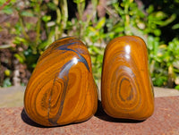 Polished Tigers Eye Free Forms x 4 From South Africa - Toprock Gemstones and Minerals