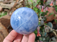 Polished Blue Calcite Spheres x 2 From Madagascar - Toprock Gemstones and Minerals