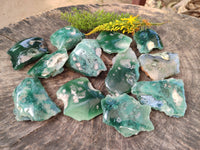 Polished On One Side Emerald Mtorolite x 12 From Mutorashanga, Zimbabwe - Toprock Gemstones and Minerals