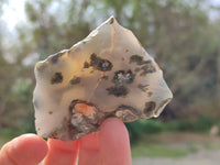 Polished On One Side Emerald Mtorolite x 12 From Mutorashanga, Zimbabwe - Toprock Gemstones and Minerals