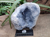 Natural Celestite Geode Specimen x 1 From Sakoany, Madagascar - Toprock Gemstones and Minerals
