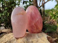 Polished Rose Quartz Standing Free Forms x 2 From Madagascar - Toprock Gemstones and Minerals