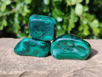 Polished Flower Banded Malachite Free Forms x 20 From Congo - Toprock Gemstones and Minerals