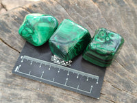 Polished Flower Banded Malachite Free Forms x 20 From Congo - Toprock Gemstones and Minerals