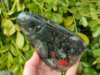Polished Bloodstone Standing Free Forms x 2 From Swaziland - Toprock Gemstones and Minerals