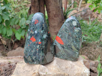 Polished Bloodstone Standing Free Forms x 2 From Swaziland - Toprock Gemstones and Minerals
