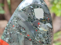 Polished Bloodstone Standing Free Forms x 2 From Swaziland - Toprock Gemstones and Minerals
