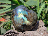Polished Labradorite Hearts x 2 From Tulear, Madagascar - Toprock Gemstones and Minerals