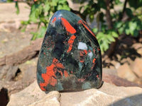 Polished Bloodstone Standing Free Forms x 2 From Swaziland - Toprock Gemstones and Minerals